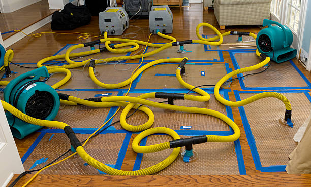 Professional Structural Drying And Dehumidification technician working in Lockport, IL